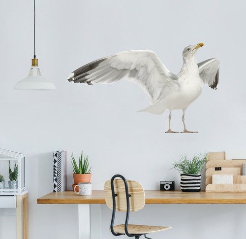 Möwe c219 tier wallpaper - möwe,