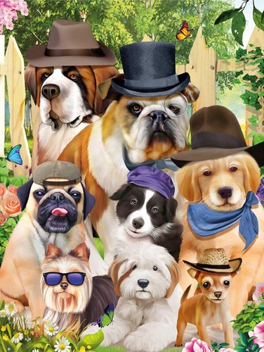Linsenbild welpen hunde in - 3d,