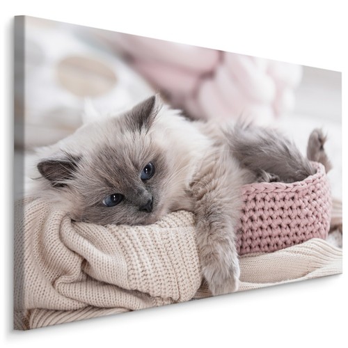 Canvas leinwand bilder xxl - canvas,