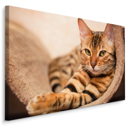 Canvas leinwand bilder xxl - canvas,