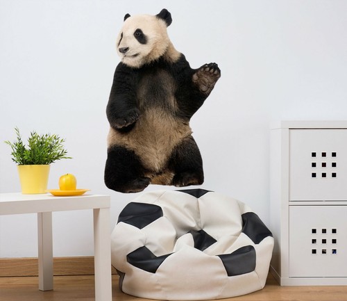 Pandapfote h746 tier - 3d,