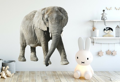Grau elefant h05 tier - 3d,