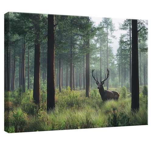 Leinwand bilder hirsch - bilder, wald