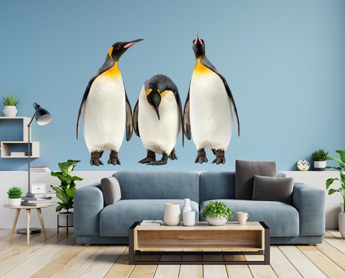 Süßer pinguin h627 tier - süßer,