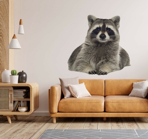 Waschbär c244 tier - 3d,