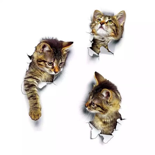 Optik katzen wandaufkleber - katzen,