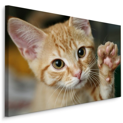Canvas leinwand bilder xxl - leinwand,