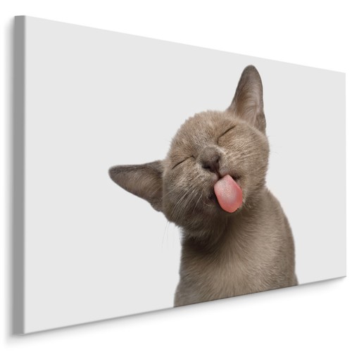 Canvas leinwand bilder - canvas, xxl