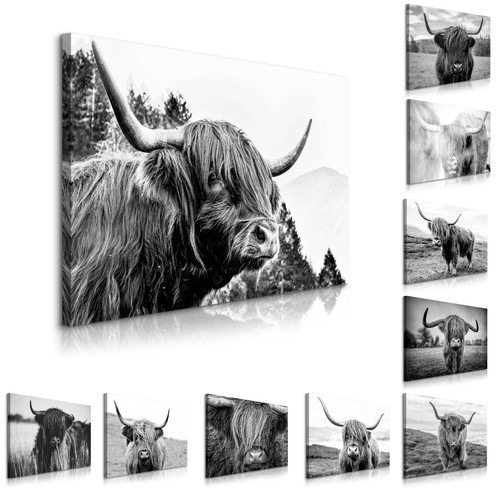 Muralo leinwandbild canvas - muralo,