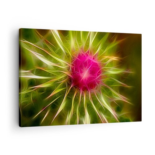 Wandbilder 70x50cm