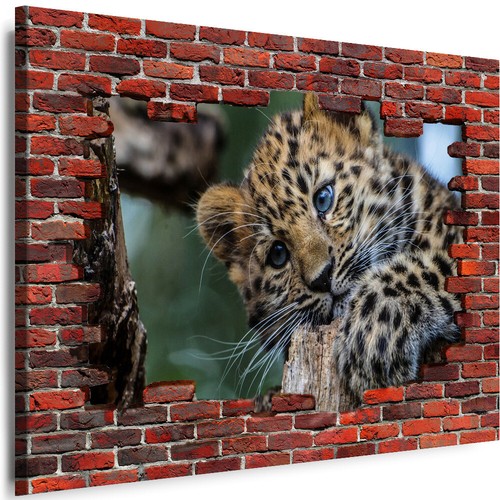 Wandbilder mauerloch - mauerloch, 3d