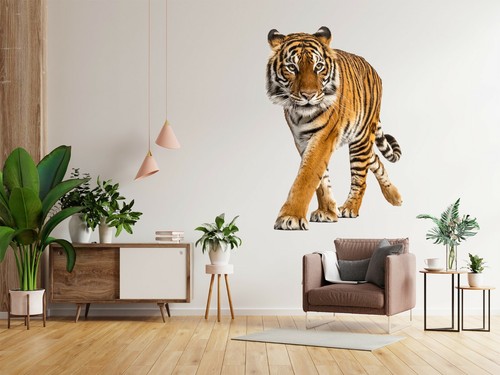 Tiger orange c694 tier - orange,