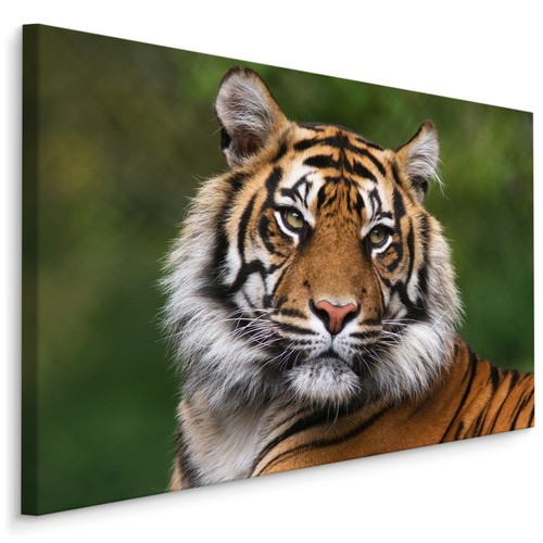 Canvas leinwand bilder xxl - leinwand,