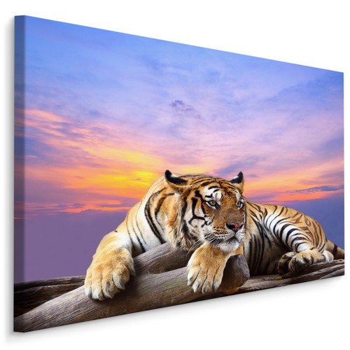 Canvas leinwand bilder xxl - canvas,