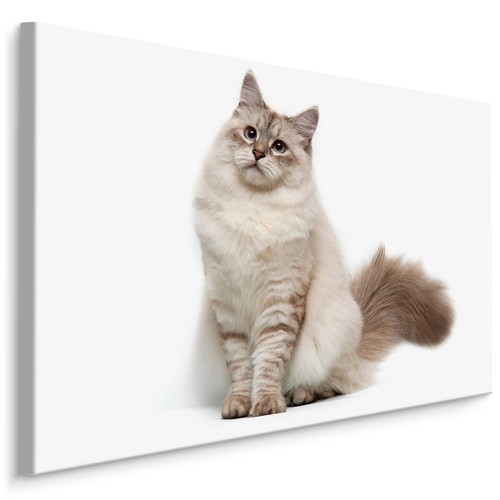 Canvas leinwand bilder xxl - leinwand,