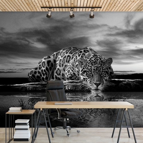 Vlies fototapete tiger leopard - tiger,
