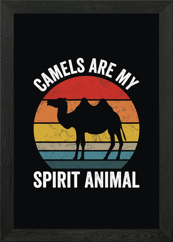 Kamele sind mein geist - sind,