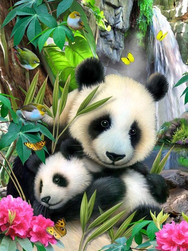 Bild kunst panda junges - bild,
