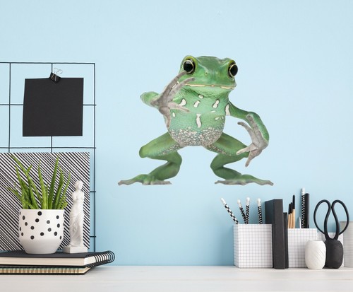 Grüner frosch h833 tier - frosch,