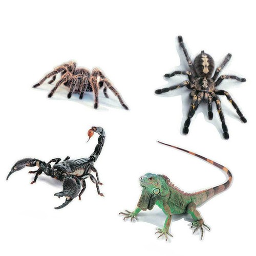 4pcs autoaufkleber tiere - 3d, -autoaufkleber